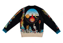 Load image into Gallery viewer, WAH-WAH x Brian Blomerth &quot;Organic Chemistry&quot; jumper
